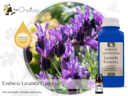 Essência Concentrada Lavanda Francesa